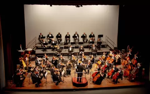 Orquesta Sinf�nica de la Ciudad de Asunci�n (OSCA).
