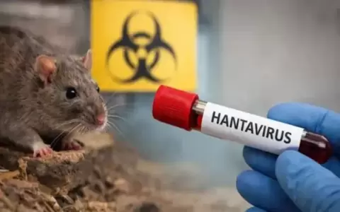 Hanatavirus.