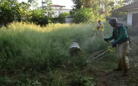 Municipalidad de Asunci�n realiza trabajo de eliminaci�n de criaderos de mosquitos.