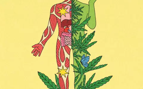 Lo que los m�dicos quieren que sepas sobre el uso medicinal de la marihuana