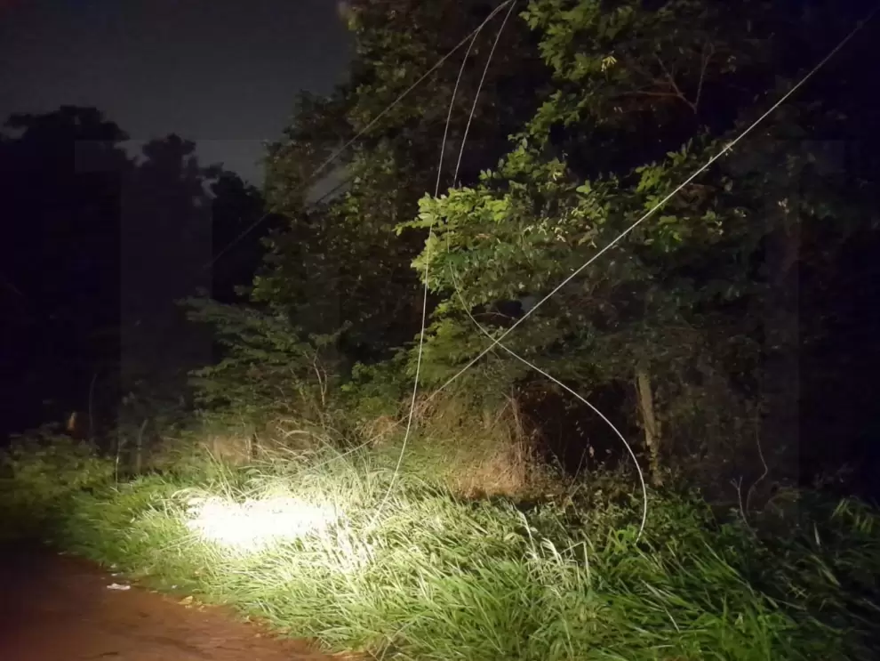 La tormenta de ayer dej� destrozos, �rboles ca�dos y cables sueltos que provoc� el corte de energ�a el�ctrica. Foto: El Nacional.