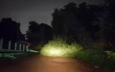 La tormenta de ayer dej� destrozos, �rboles ca�dos y cables sueltos que provoc� el corte de energ�a el�ctrica. Foto: El Nacional.