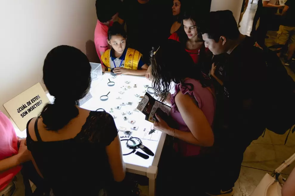 "Los museos se muestran". Edici�n anterior.