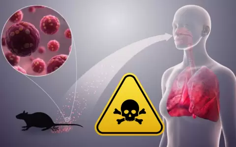 Hantavirus en Paraguay.