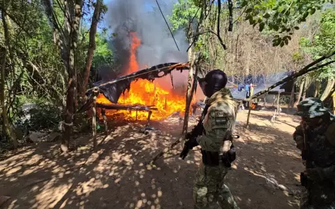 "Operaci�n Nueva Alianza", se ejecutaron en coordinaci�n con el Comando de Operaciones de Defensa Interna (CODI) y el Ministerio P�blico.