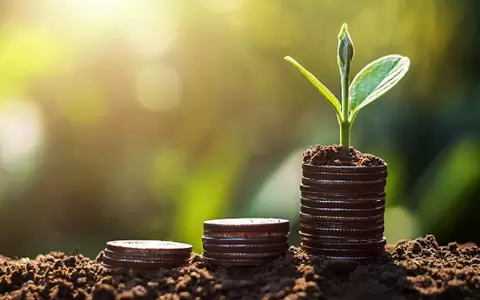 La Bioeconom�a y su trascendencia.