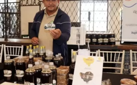 Buscan agilizar marcas en DINAPI.