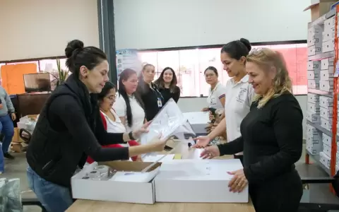 Proceso electoral en marcha en el TSJE.