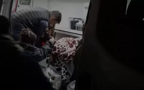 Los menores intoxicados fueron derivados a un hospital.