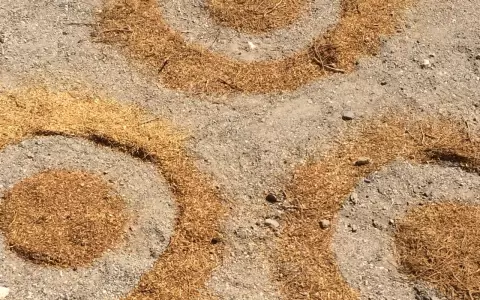 Instalaci�n de Marco Ben�tez en el desierto de Atacama.