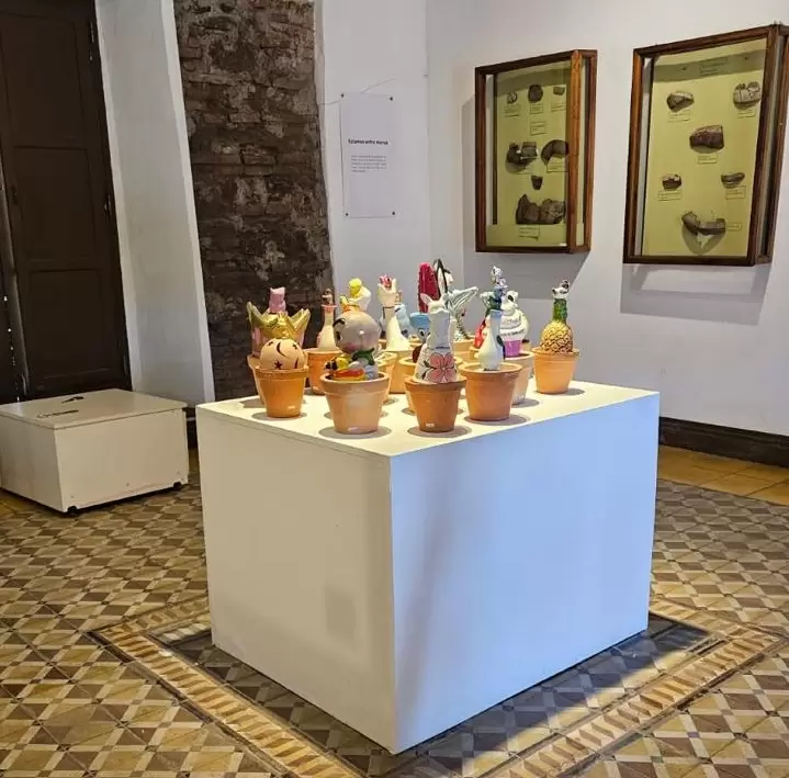 Instalación de Marcos Benítez en la Feria de Arte Contemporáneo de Corrientes. Cortesía