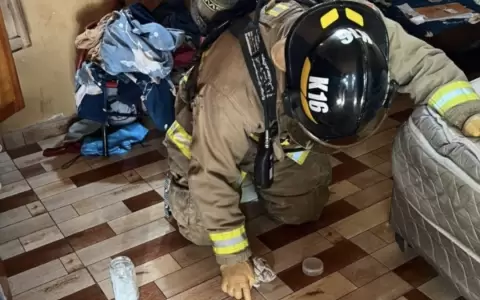 Intervenci�n de los bomberos tras rotura de term�metro.