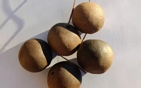 Obra de F�tima Acosta.