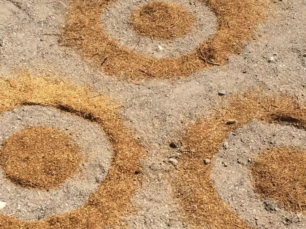 Obra de Marcos Benítez desarrollada en el desierto de Quillagua, Chile. Cortesía