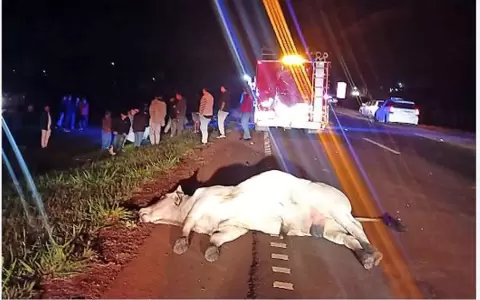 Accidente fatal sobre la Ruta PY02