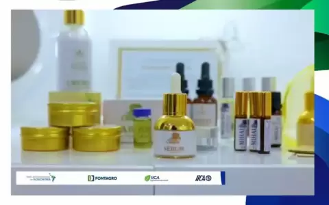 La startup Vita Copaiba, de Colombia, una de las firmas ganadoras del Concurso de Agrobioemprendimientos de Impacto LATAM 2025, del IICA y FONTAGRO.