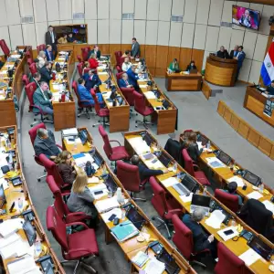 Tr�fico de influencias se normaliza en el Congreso