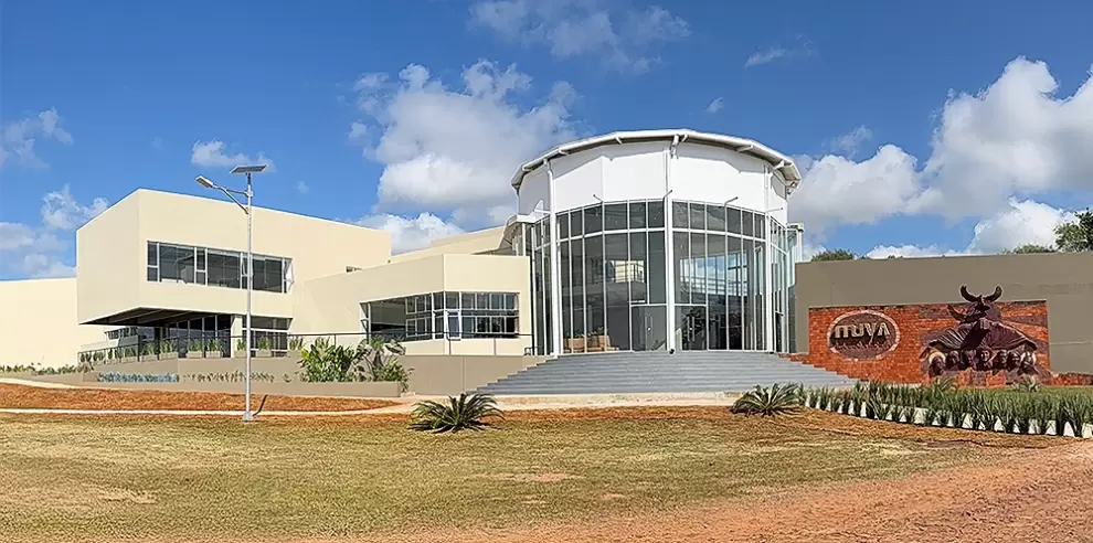 Muva - Museo Viedma.