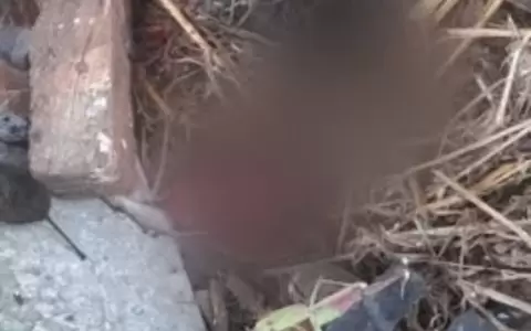 Hallan un feto en la compa��a Aguapey, Limpio.
