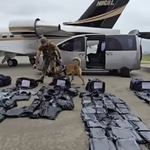 Incautan jet con 261 kilos de marihuana premium valuada en USD 3,6 millones; piloto ser�a empresario tecnol�gico