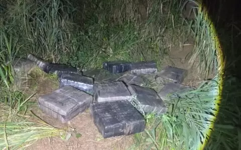 Una tonelada de marihuana en Natalio.
