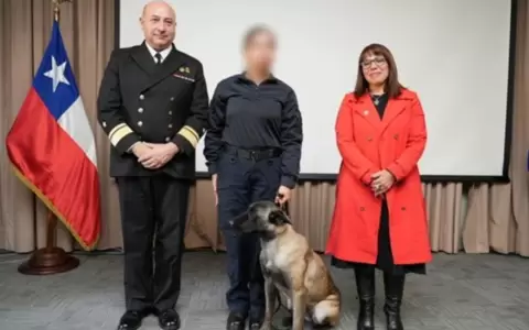 Ocurri� durante el cierre de un curso de formaci�n de canes detectores de drogas en la regi�n de Valpara�so.
