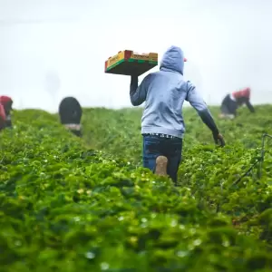 Perspectivas de la Agricultura y del Desarrollo Rural en las Am�ricas.