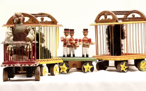 Tren del Circo Colibr�.