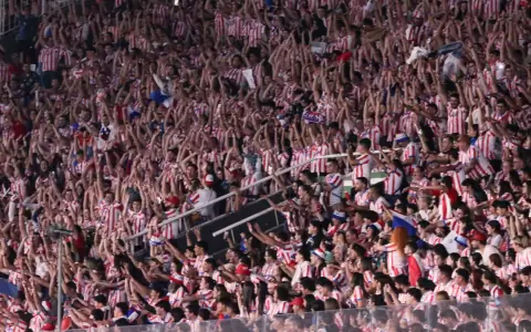 Aficionados de la Albirroja.