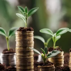Sector productivo mantiene estable la econom�a del Paraguay.