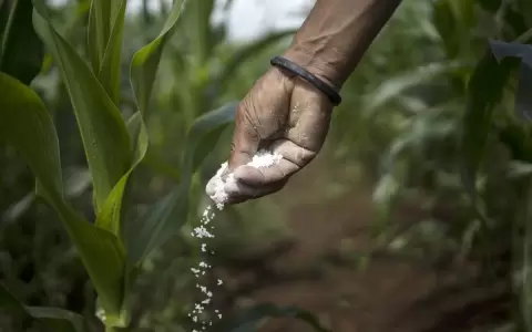Crisis de fertilizantes en la regi�n.