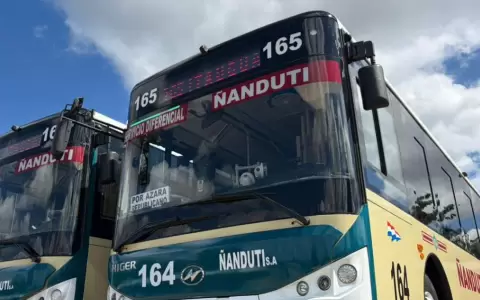 Buses el�ctricos.
