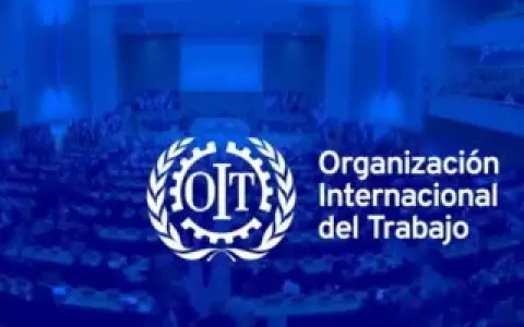 Organizaci�n Internacional del Trabajo (OIT).
