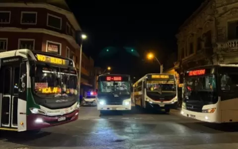 Buses.