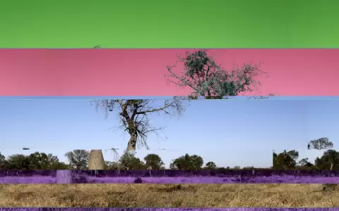 Luis Vera, obra que ser� exhibida en la muestra.