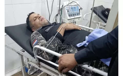 Lince baleado en hospital.