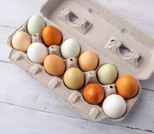 Huevos.