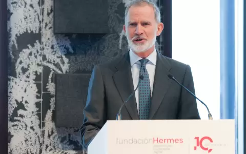 Rey Felipe VI