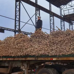 Planta Alcoholera de Petropar, ubicada en Mauricio Jos� Troche.