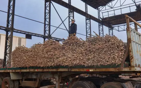 Planta Alcoholera de Petropar, ubicada en Mauricio Jos� Troche.