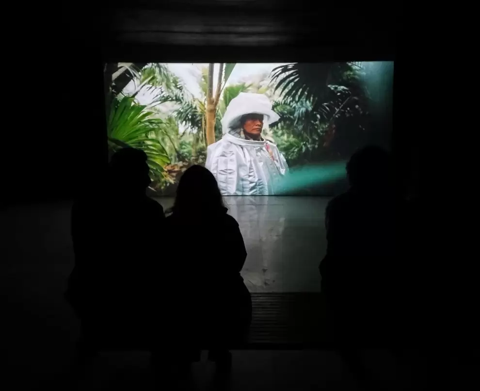 Videos de Camilo Echeverri. Cortesía