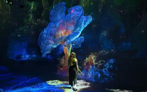Una persona camina entre visualizaciones inmersivas de la exposici�n inaugural "Machine Dreams: Rainforest".