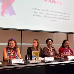 Kattya Gonz�lez ante la OEA.