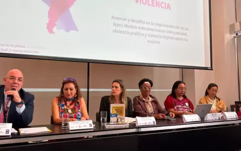 Kattya Gonz�lez ante la OEA.