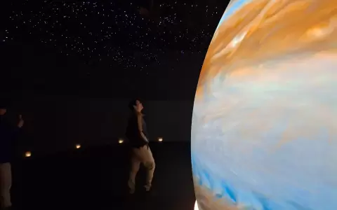 Festival de la Ciencia. Cortes�a
