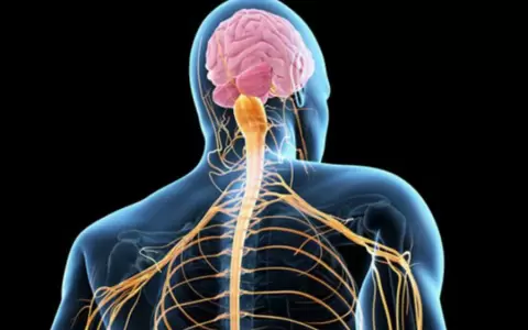 Esclerosis Lateral Amiotr�fica (ELA) es una enfermedad degenerativa del sistema nervioso que destruye gradualmente las neuronas motoras.