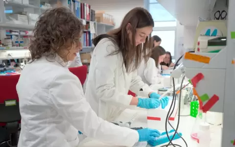 Una conexi�n defectuosa entre cerebro e h�gado podr�a ser causa de un fallo en el crecimiento infantil, seg�n un estudio.