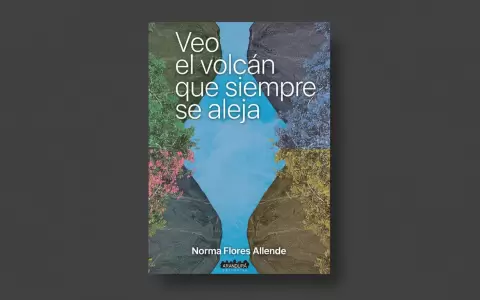 Portada de "Veo el volc�n que siempre se aleja", de Norma Flores Allende.