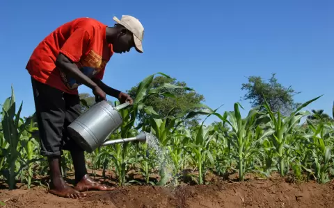Encuentro sobre agriculturas resilientes.