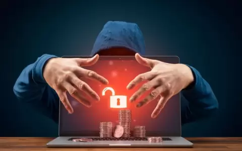 Ciberfraudes.